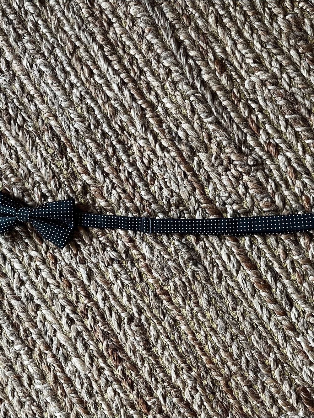 Black Polka Dot Bow Tie